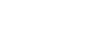 FLXS logo